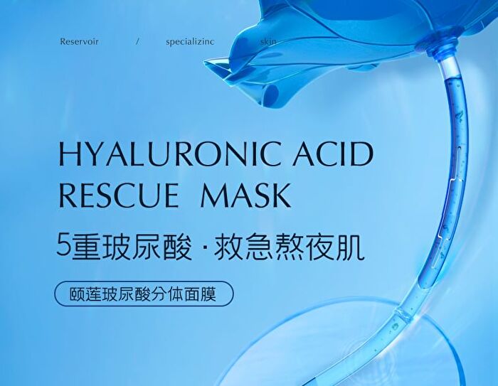 Rellet Sodium Hyaluronate Moisturizing And Brightening Essence Mask - 28g X 10 pcs