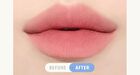 Braye Long Lasting Over Lip Pencil - 10 Colors - #08 Kaya Bun