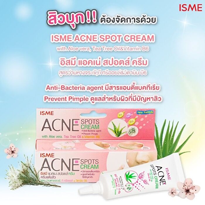 Isme Acne Spots Cream with Aloe Vera, Tea Tree Oil & Vitamin B6 - 10g