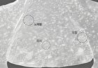 Fully Pore Peptide Sebum Out Tightening Mask Set - 17ml x 4 sheets