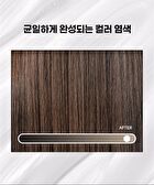 Entropy Brow Color Ash Brown Set - 2026 Version - 9 pcs