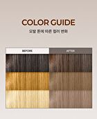 Entropy Brow Color Ash Brown Set - 2026 Version - 9 pcs