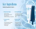 Dermalogy Next Glow Watery Cream - 50ml