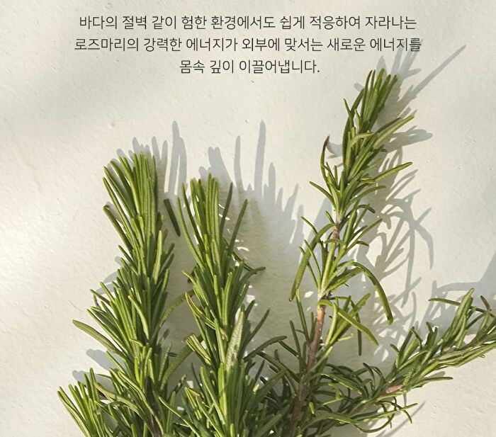 Aromatica Vitalizing Rosemary All-in-one Lotion Mini - 30ml