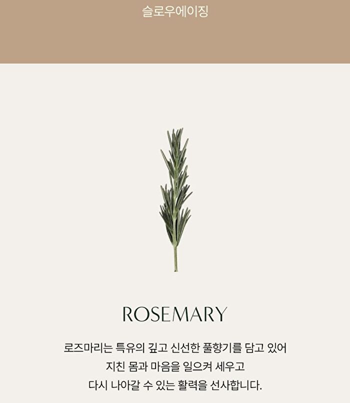 Aromatica YesStyle Exclusive Vitalizing Rosemary Firming Cream Mini - 10ml