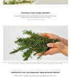 Aromatica YesStyle Exclusive Vitalizing Rosemary Concentrated Essence Mini - 30ml
