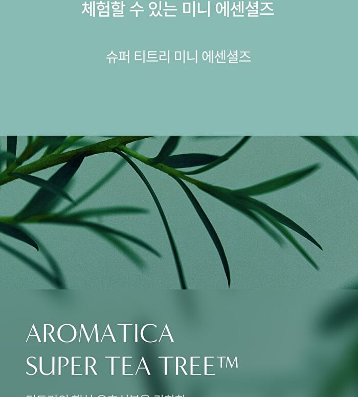 Aromatica YesStyle Exclusive Super Tea Tree Trial Kit - 3 pcs