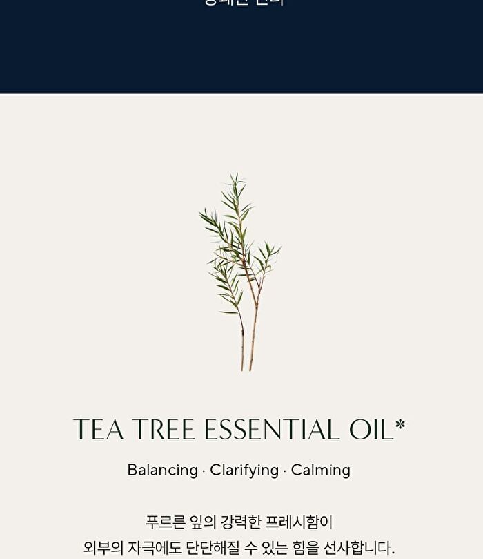 Aromatica Tea Tree Balancing Toothpaste Mini - 30g