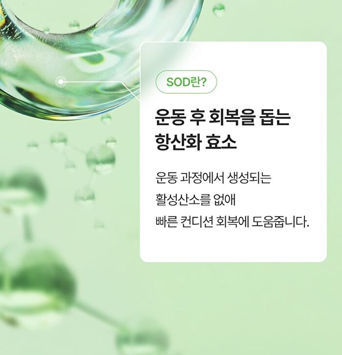 Foodology Hey! Recover - 2g x 20 packets