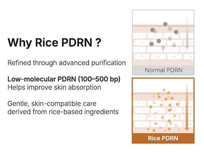Brown Rice Intensive Barrier Cream - 50ml