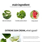 High Protection Sun Cream Sachet - 3 Types - Long Lasting
