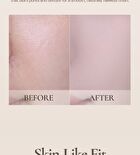 Prelude Dinto Woon Cho Blur-Matte Liquid Foundation - 3 Colors - #91 Pure Woon Cho