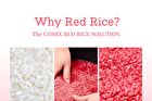 Cosrx Red Rice Inositol Exfoliating Care Pore Peel Serum - 80ml