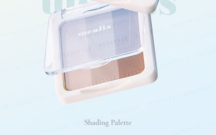 Shading Palette Beige - 1 pc