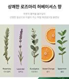 Aromatica Rosemary PDRN Scalp Serum - 100ml