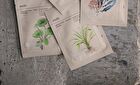 Beauty Mask Set - 4 Types - Probiotics & Cica Water Soothing