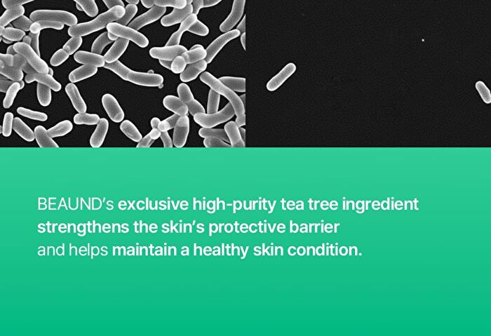 Hiffect Madeca Tea Tree Ampoule - 50ml