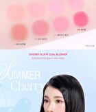 Fluffy Dual Blusher - 4 Types - #02 Rosy Beige
