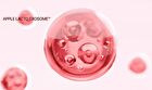 Apple Lacto Mini Trial Set - 4 pcs