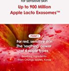 Apple Lacto Mini Trial Set - 4 pcs