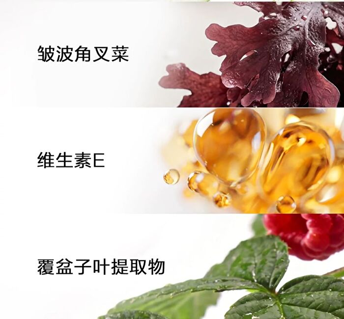 Maogeping Fresh Makeup  Primer /PA+++ - 30ml