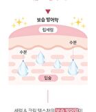 Ootd Glossy Tinted Lip Serum - 2026 Version - 15ml