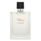 テール ドゥ エルメス アフターシェーブローション 100ml | Cosmetics