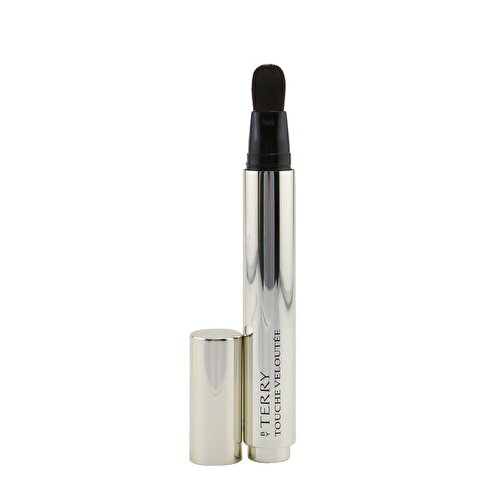 by terry highlighting concealer brush