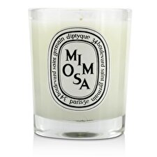 Diptyque Scented Candle - Mimosa 70g/2.4oz