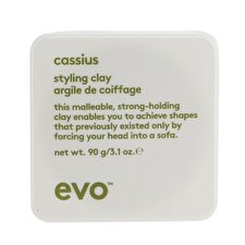 Evo Cassius Styling Clay 90g/3.1oz
