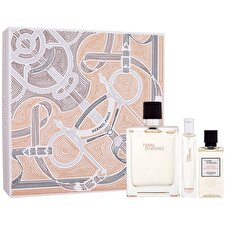 Hermes Terre D'hermes Gift Set Eau De Toilette 100ml Miniature Eau De Toilette 15ml And Shower Gel 40ml 100ml