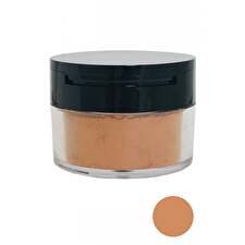Elizabeth Arden High Performance Blurring Loose Setting Powder Medium Deep 17.5 G
