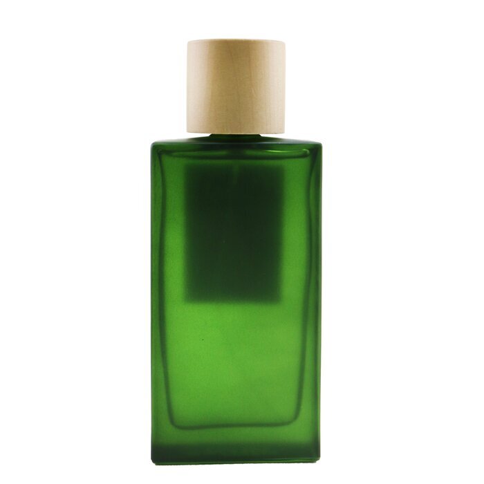 Coral Makeup Agua De Loewe Miami Beach Loewe Agua Miami Eau De