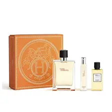Hermes Terre D' - Eau De Toilette 100ml & Shower Gel 40ml & Eau De Toilette 15ml