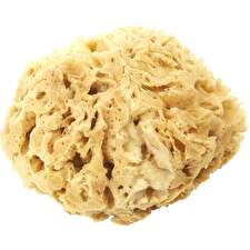 Spa Accessories Spa Sister Mediterranean Wool Sponge - Small