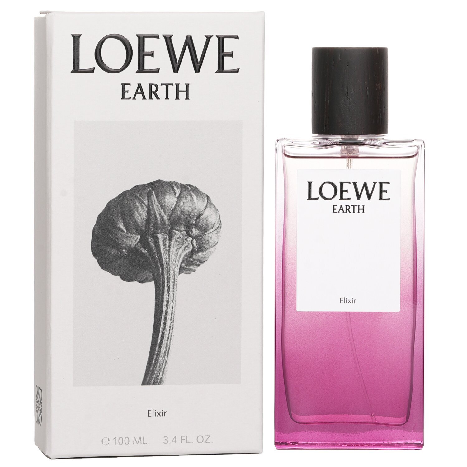 ロエベ Earth Elixir Eau De Parfum Spray 100ml | Cosmetics
