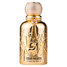 Auraa Desire Cedar Paradise Extrait De Parfum For Men 100ml
