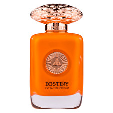 Auraa Desire Destiny Extrait De Parfum For Men 100ml