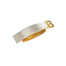 Balmain Hair Clip Silver/gold