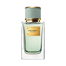 Dolce & Gabbana Velvet Infusion Eau De Parfum Unisex 100ml