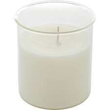 Northern Lights Sea Salt & Kelp Esque Candle Insert 266ml/9oz