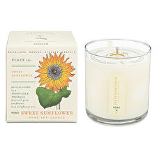 Kobo Sweet Sunflower Plant The Box Pure Soy Candle 266ml/9oz