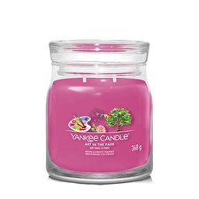 Yankee Candle Aromatic Candle Signature Glass Medium Art In The Park 368 G