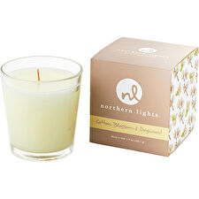 Northern Lights Cotton Blossom & Dogwood White Candle 266ml/9oz