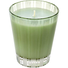Nest Wild Mint & Eucalyptus Scented Candle 240ml/8.1oz