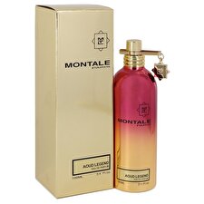 Montale Aoud Legend Eau De Parfum Unisex 100ml