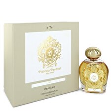 Tiziana Terenzi Tyl Extrait De Parfum Spray (Unisex) 100ml/3.38oz