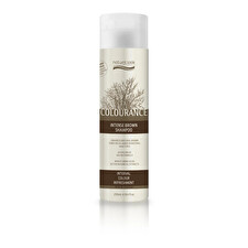 Natural Look Colourance Rich Chocolate Shampoo 250ml