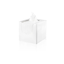 Facial Wipes (300mm X 300mm) 100 Pack