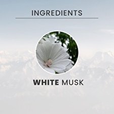 Tesori d'Oriente White Musk - Shower Gel - Volume: 250ml